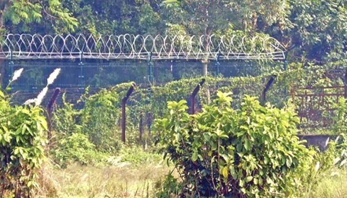 দেশ ছাড়ার নিরাপদ রুট মহেশপুর সীমান্ত; আড়াই মাসে আটক ৩৫০ জন