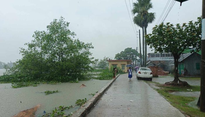 সাগরে সৃষ্ট নিম্নচাপের প্রভাবে পিরোজপুরে নিম্নাঞ্চল প্লাবিত শহরে জলাবদ্ধতা, বিপাকে জনজীবন