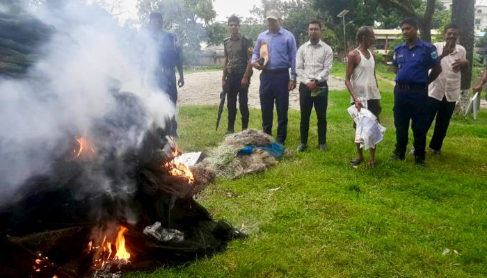 উল্লাপাড়ায় অভিযানে ছাই হলো লক্ষ টাকার নিষিদ্ধ জালের স্তূপ