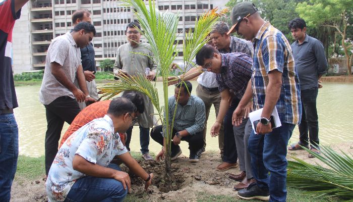 নজরুল বিশ্ববিদ্যালয়ে মাসব্যাপী বৃক্ষরোপণ কর্মসূচি শুরু