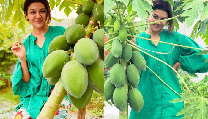 পেঁপে বাগানে জয়া,লিখলেন সুখের কথা