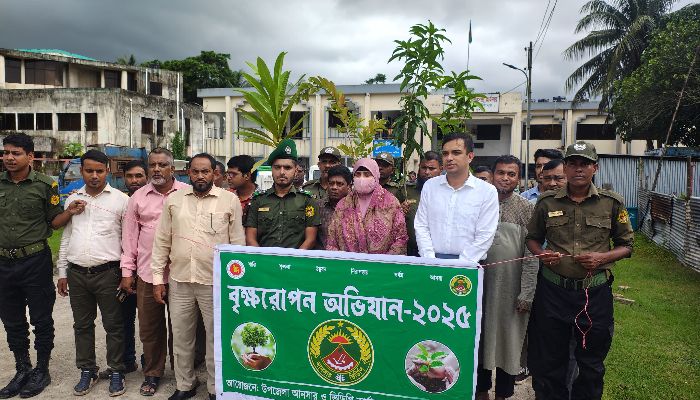 আনসার ও ভিডিপির বৃক্ষরোপণ 