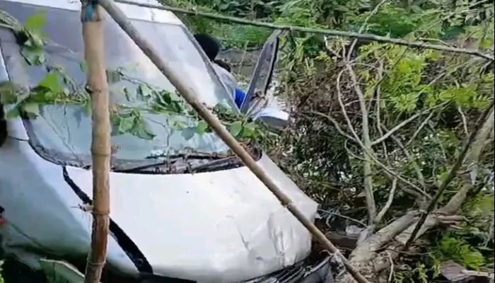 মাইক্রোবাস খাদে পড়ে আহত ৫