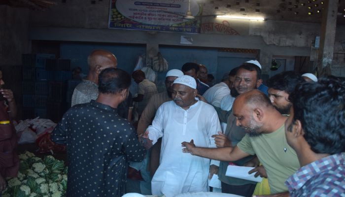 প্রচারণায় বিএনপি প্রার্থীরা