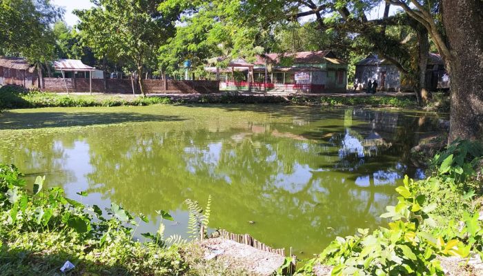 তাড়াইলে জমি সংক্রান্ত জেরে কৃষকের পুকুর থেকে মাছ ধরার অভিযোগ