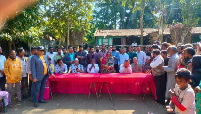 নলছিটিতে ইলেন ভুট্টোর গণসংযোগ