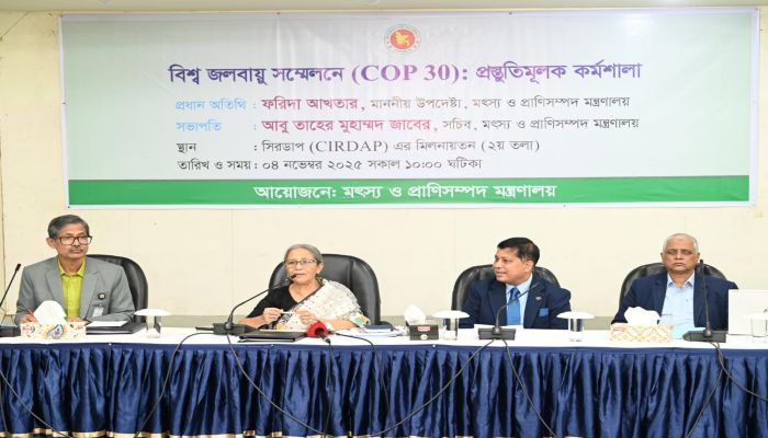 কপে অংশগ্রহণে বাংলাদেশের প্রতিনিধিত্ব বাড়বে
