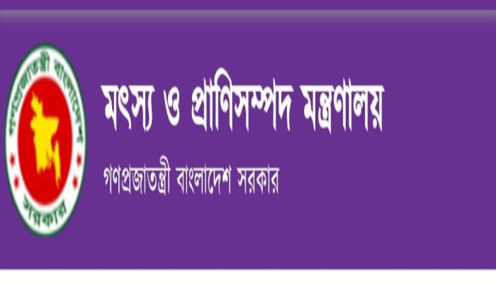 বিসিএস (পশুসম্পদ) ক্যাডারের জন্য সমন্বিত মেকআপ কোর্সের বিষয়ে প্রজ্ঞাপন জারি