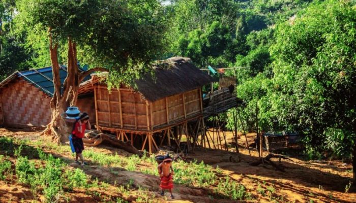 জুম, ঝরনা আর জীবন; পাহাড়ি জনপদের অনুচ্চারিত গল্প