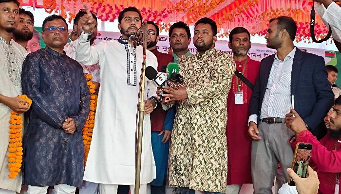 তফসিলের আগে গণভোট করার কোনো বাস্তবতা নাই: নুর