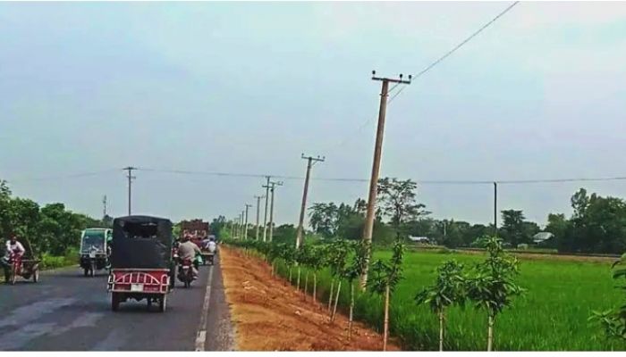 নেসকোর ৩৩ হাজার ভোল্টেজ সঞ্চালন লাইনের ৫১ কিলোমিটার তার চুরি