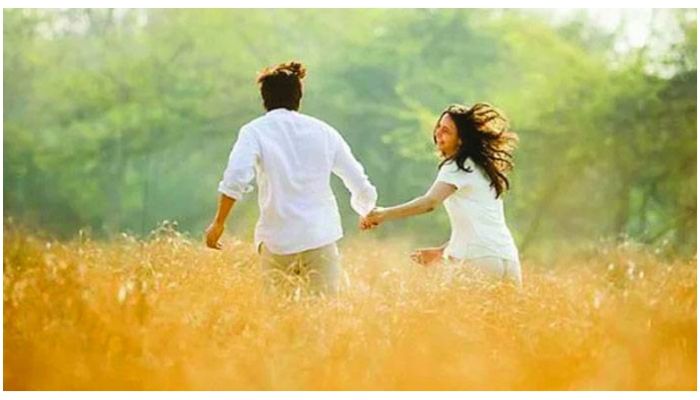 সুখী দম্পতির লক্ষণ