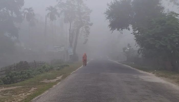 পঞ্চগড়ে তাপমাত্রার পারদ নেমে ১৩ ডিগ্রির ঘরে