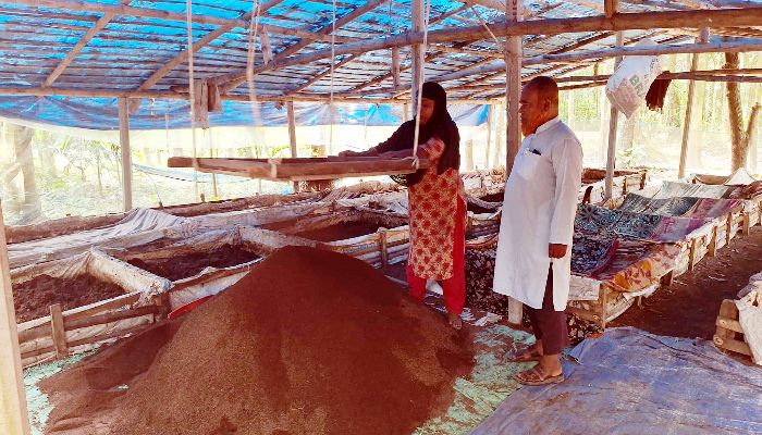 জৈব সারে বদলে যাচ্ছে কৃষি পদ্ধতি 