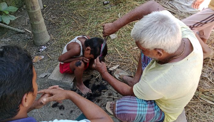 বিলুপ্তের পথে পিঁড়েতে বসে চুলকাটা 