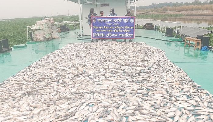 ৪ হাজার কেজি জাটকা জব্দ করেছে কোস্টগার্ড