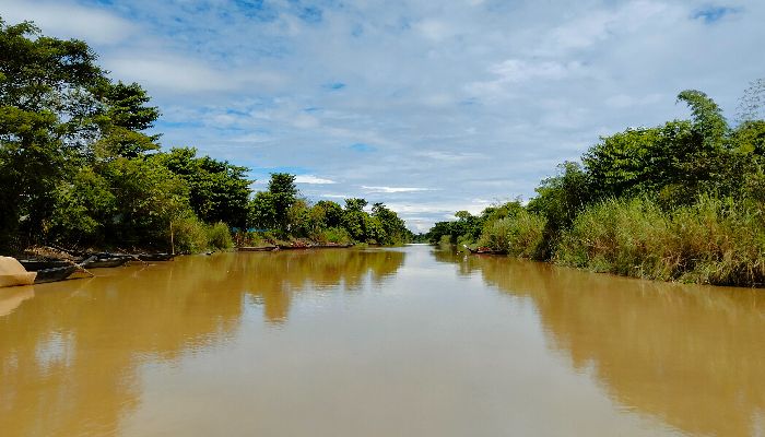 জুড়ী নদীর জীববৈচিত্র্য হুমকির মুখে