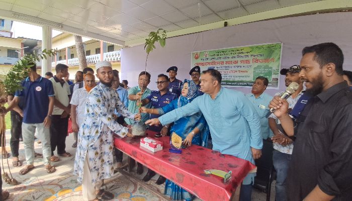 চারা বিতরণ ও রোপণ কর্মসূচি 