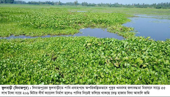 জলাবদ্ধতায় দেড় হাজার বিঘা জমি আবাদহীন