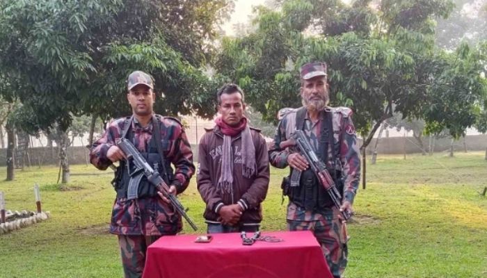 গরু চোরাকারবারি আটক