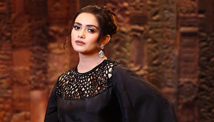 আপনারা সবটুকু জেনে সত্যটাই প্রকাশ করবেন: তানজিন তিশা