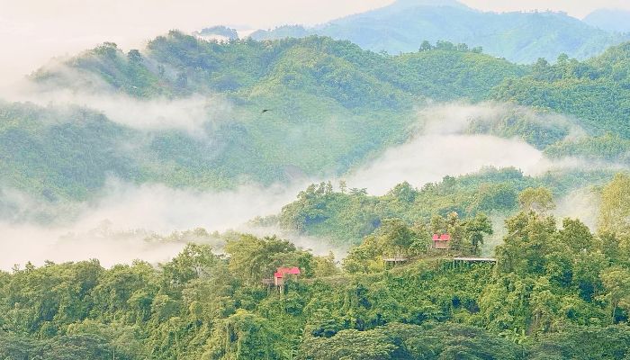 প্রকৃতি ধ্বংস করে চলছে ব্যবসা