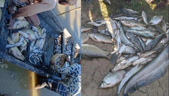 হাওরখাল বিলে লুট বন্ধে কমিটি গঠন