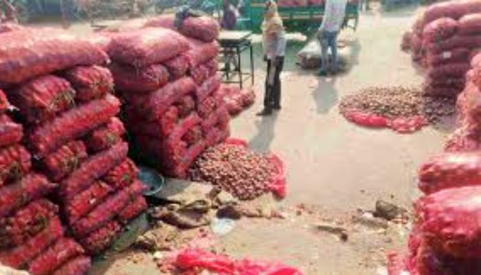 বাংলাদেশে রপ্তানি ‘বন্ধ’ দিল্লির বাজারে পচছে পেঁয়াজ