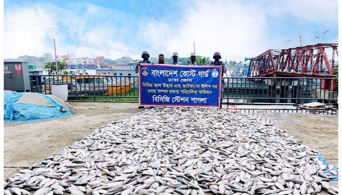 ৫ হাজার কেজি জাটকা জব্দ