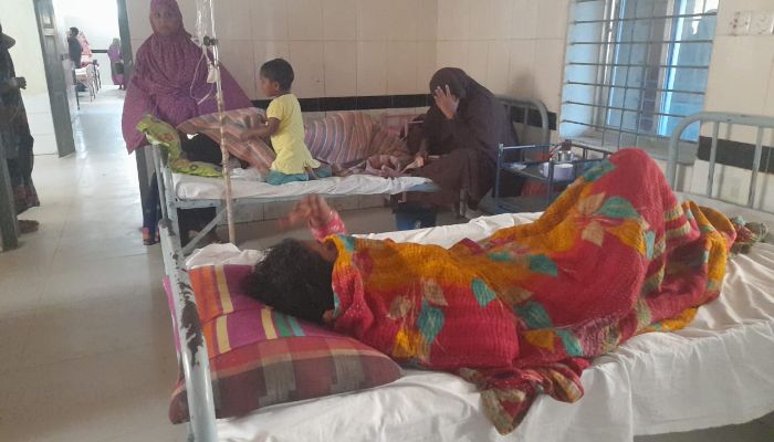 জমি সংক্রান্ত বিরোধে মারধর, নারী নির্যাতন ও শ্লীলতাহানির অভিযোগ