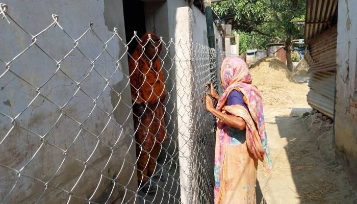 ক্ষেতলালে রাস্তা বন্ধ করে কাঁটাতারের বেড়া, অবরুদ্ধ চার পরিবার