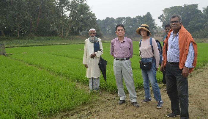 ৪০ বছর হাওরের কৃষি উন্নয়নে  জাপানি গবেষক তেৎসুও সুৎসুই 