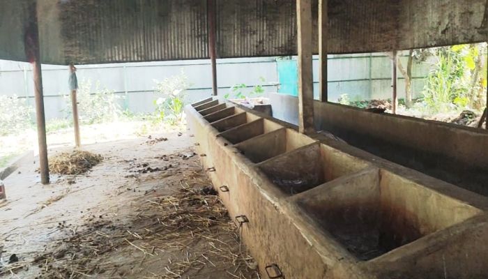 দৌলতপুরে কলেজছাত্রের মরদেহ উদ্ধার