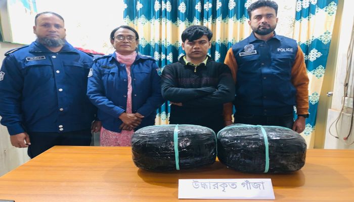 সিংগাইরে মাদক চক্রের আরেক সদস্য গ্রেফতার, উদ্ধার ১০ কেজি গাঁজা