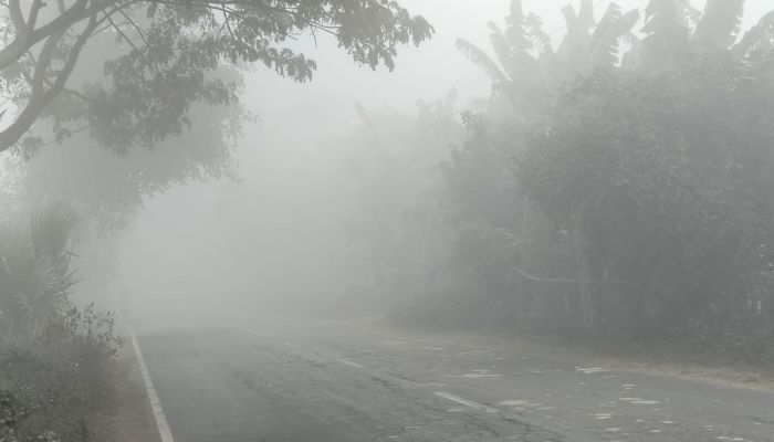 মাদারগঞ্জে শীতের দাপট, বৃষ্টির মতোই ঝরছে কুয়াশা বিপর্যস্ত জনজীবন