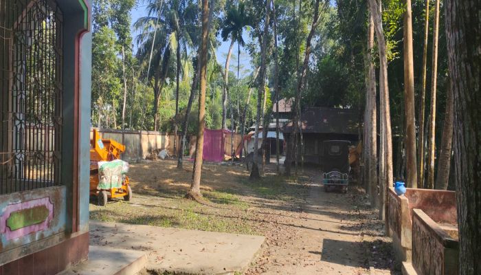 ১৭০ টাকা হারানোর জেরে ঝালকাঠির কাঠালিয়ায়   ভাতিজীকে  পিটিয়ে হত্যার অভিযোগ চাচার বিরুদ্ধে