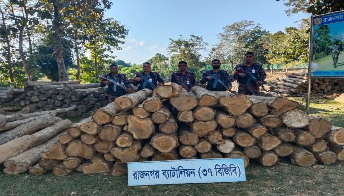 লংগদুতে বিজিবির অভিযানে অবৈধ কাঠ জব্দ