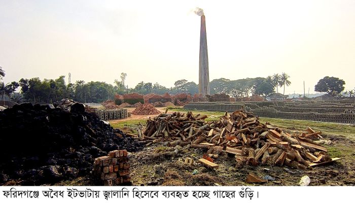 ফরিদগঞ্জে অবৈধ ইটভাটায় কয়লার পরিবর্তে পুড়ছে কাঠ
