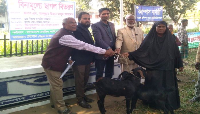 বগুড়ার শেরপুরে হতদরিদ্রদের মাঝে বিনামূল্যে ছাগল বিতরণ 