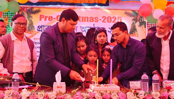 কমলগঞ্জে চা বাগানে প্রাক-বড়দিন উৎসব: মেতেছে তিন শতাধিক শিশু