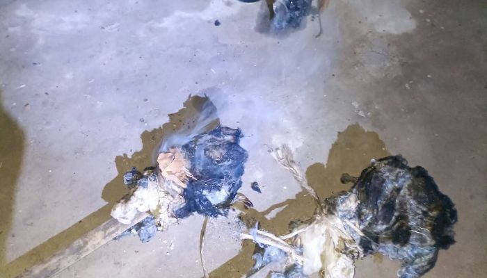 সীতাকুণ্ডে বিএনপি নেতার বাড়িতে ককটেল হামলা, পেট্রোল বোমা উদ্ধার