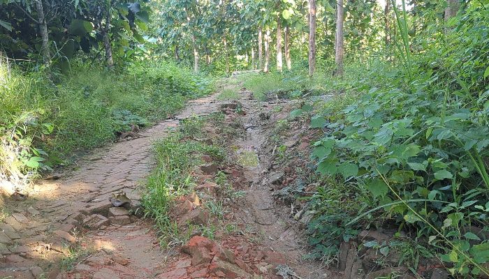 বাজেট-টেন্ডার শেষ, ওয়ার্ক অর্ডারও হয়েছে; তবুও কাজ শুরু হয়নি