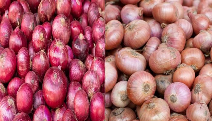 পেঁয়াজের বাজারে স্বস্তি: আমদানির ঘোষণায় কেজিতে কমল ২৫ টাকা