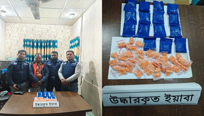 সিংগাইরে ৫ হাজার পিস ইয়াবাসহ মাদক ব্যবসায়ী গ্রেফতার