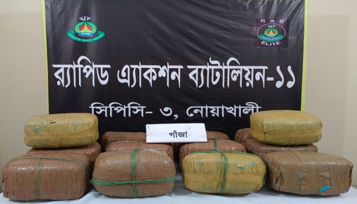 মুড়ির আড়ালে মাদক পাচার: পিকআপসহ ৫৬ কেজি গাঁজা উদ্ধার, আটক ৩