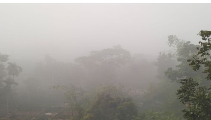 কুড়িগ্রামে শীতের প্রকোপে বেড়েছে শীতজনিত রোগ