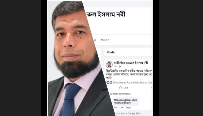 ব্রাহ্মণবাড়িয়া০৫, নবীনগরে গাছে গাছে থাকা নৌকার মাঝি এখন মাছ ধরার জেলে।