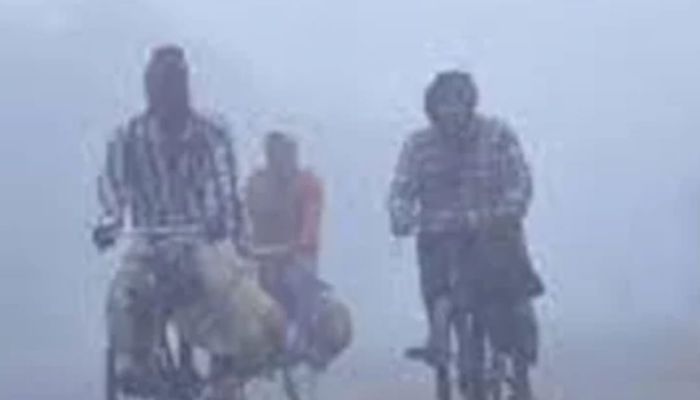   লোহাগড়ায় শীতের দাপটে জুবুথুবু :  স্থবির জনজীবন