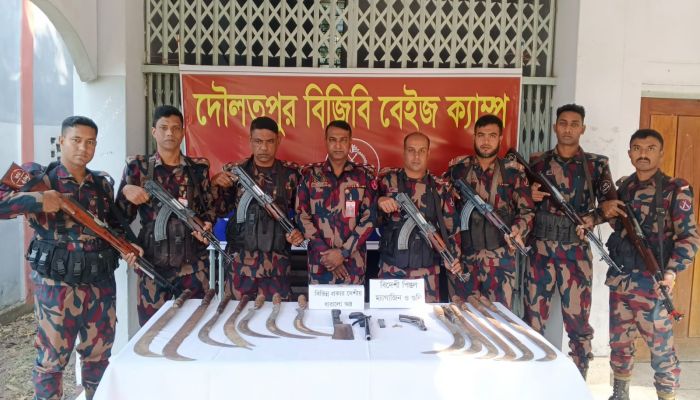 দৌলতপুর সীমান্তে আগ্নেয়াস্ত্র,ম্যাগাজিন,তাজা গুলি ও দেশীয় অস্ত্র উদ্ধার