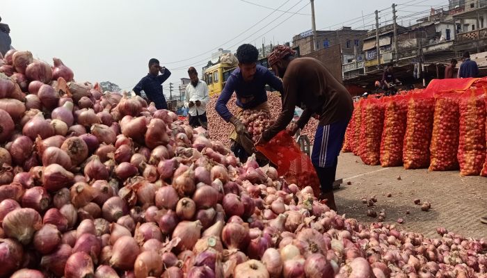 ফরিদপুরে বছরের শুরুতেই পেঁয়াজের দামে ধস, কৃষক হতাশ 